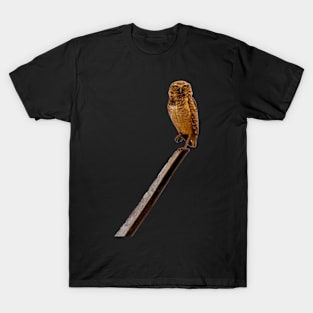 an owl and an owl T-Shirt